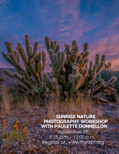 Photo of cactus with purple blue sunrise sky. Text overlay is title of event. 