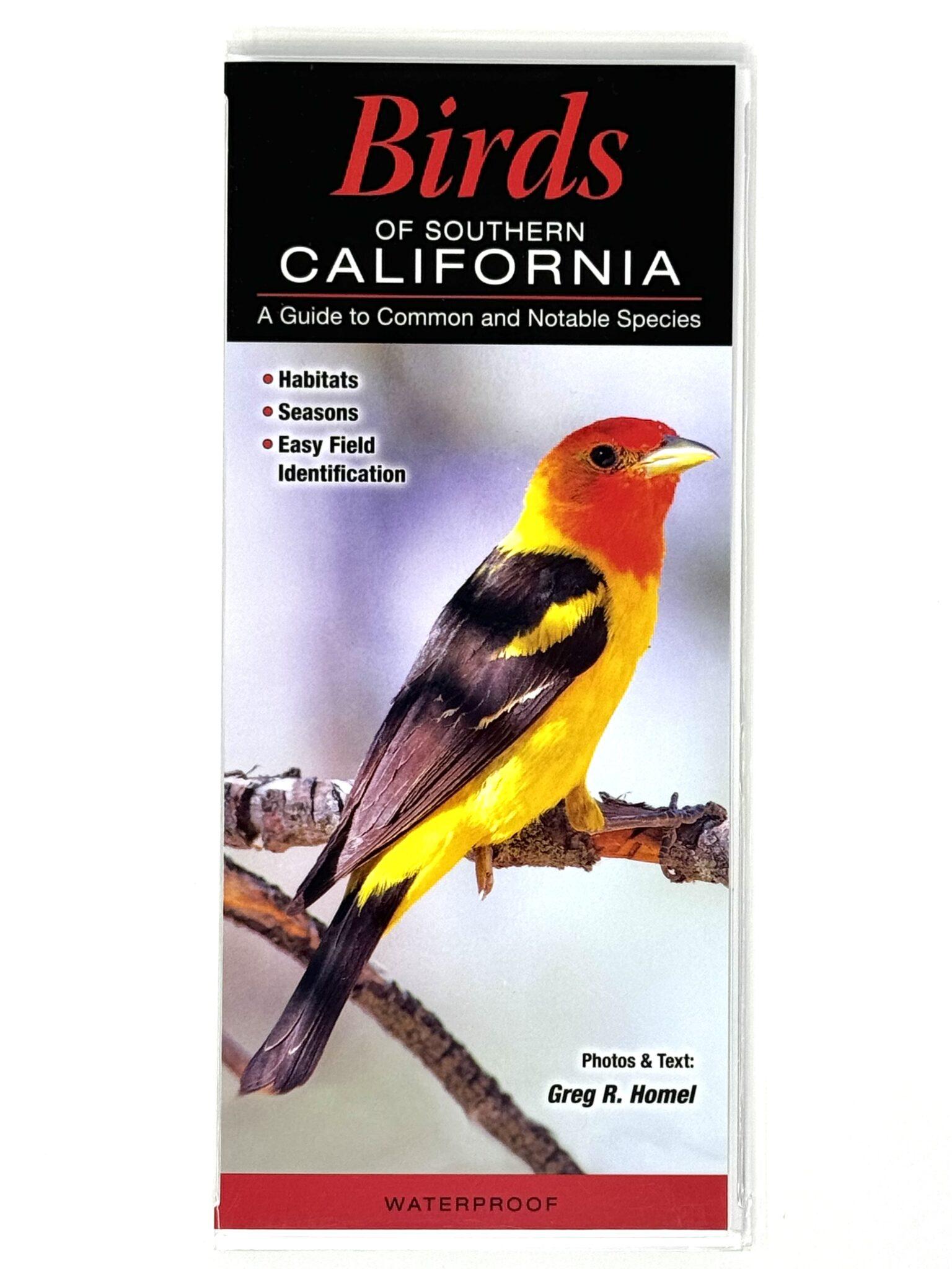 Birds of Southern CA - Anza-Borrego Foundation Birds of Southern CA - Anza-Borrego Foundation