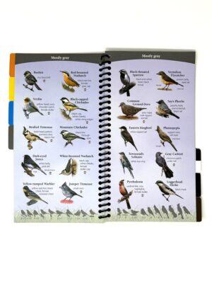 Birds of the Southwest Spiral Guide - Image 2