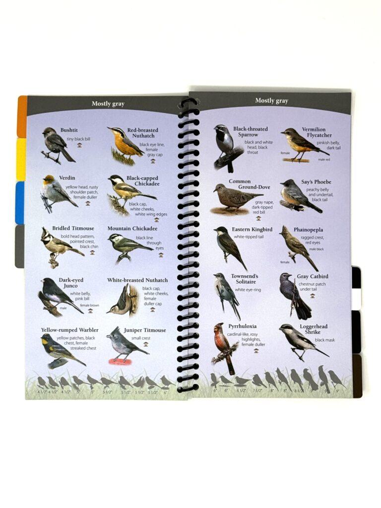 Birds of the Southwest Spiral Guide