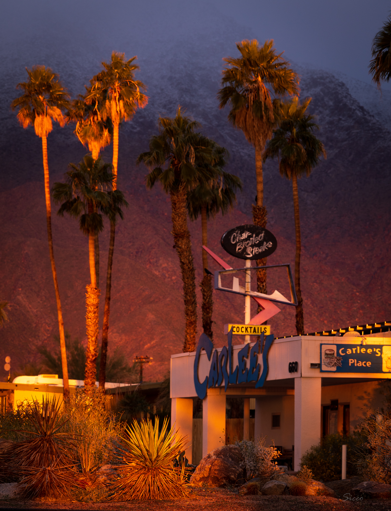 Outside shot of Carlee's with mountain and palm trees in background.