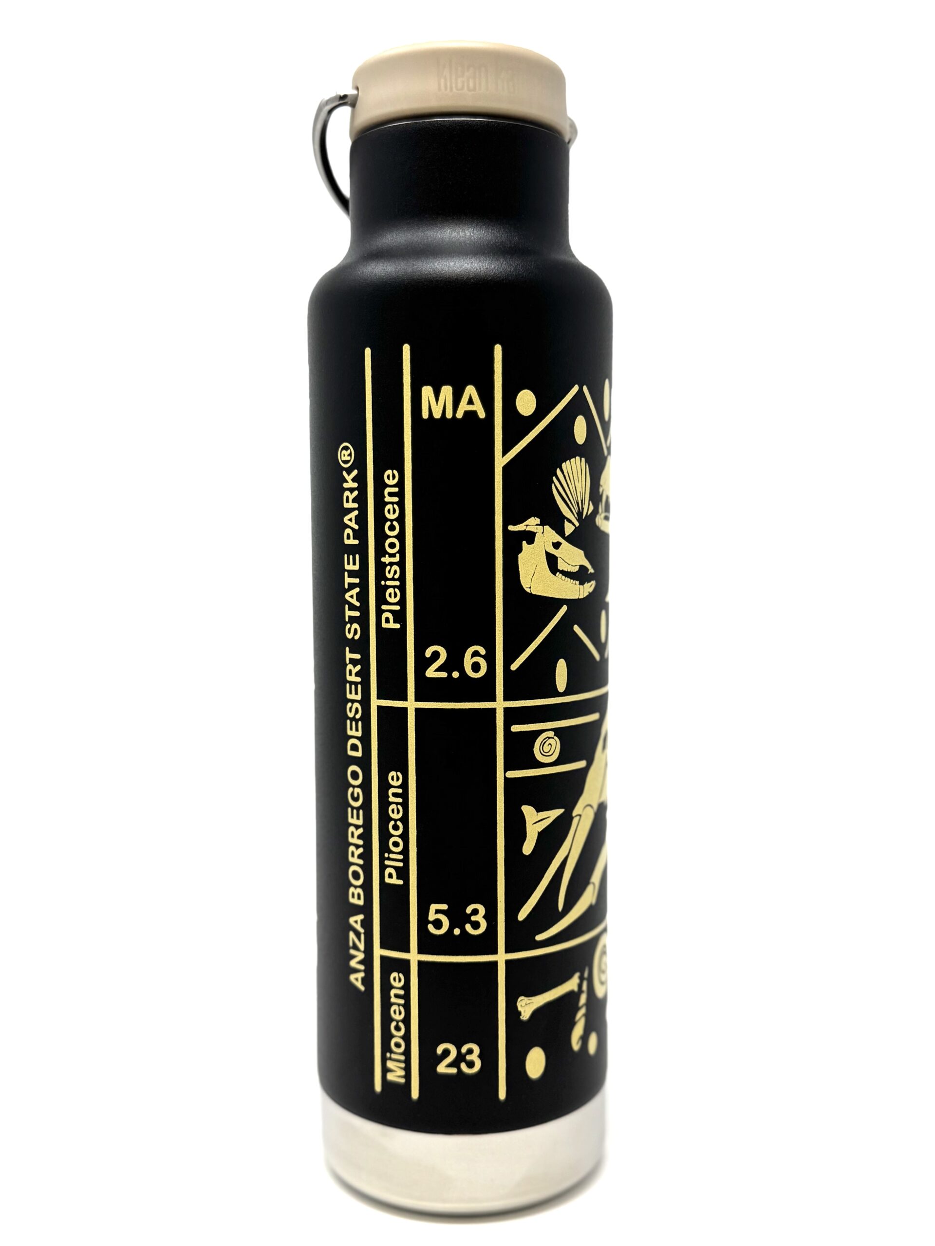 Fossil Water Bottle 20oz