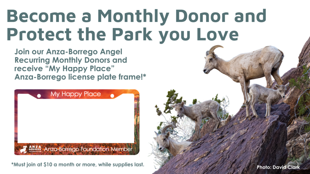 Become a monthly donor and protect the park you love title with bighorn sheep on rocks. There is also a photo of a license plate frame with a sunset and ocotillo that you can get if become a $10 a month or more recurring monthly donor.