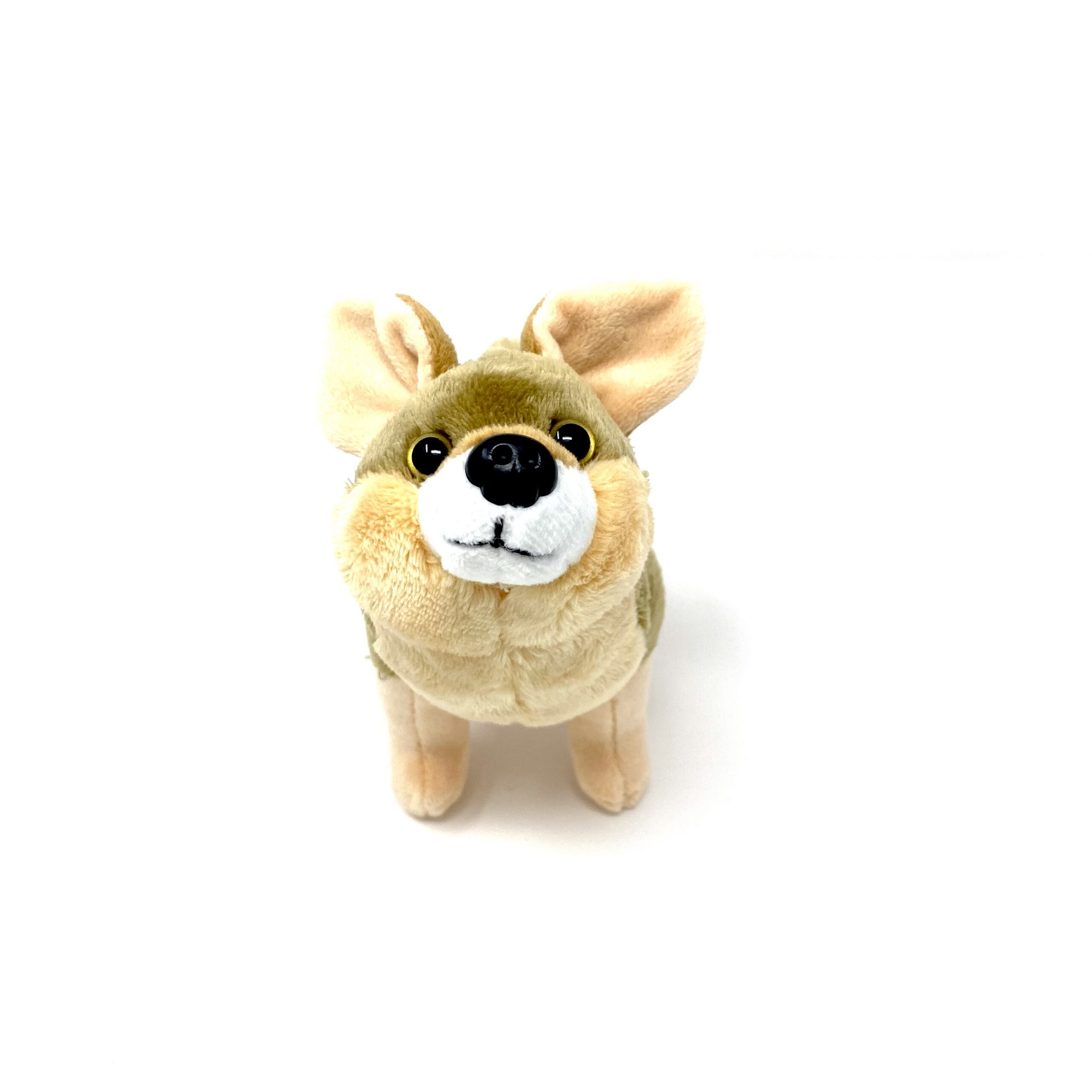 Coyote Wild Calls - Image 2
